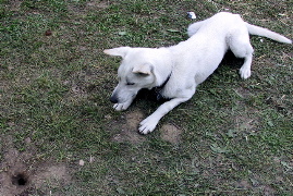 Bild 118